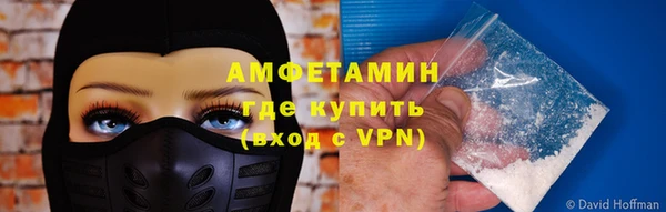 прущие грибы Абинск