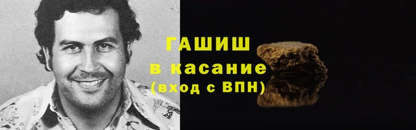прущие грибы Абинск