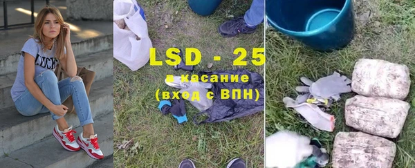 прущие грибы Абинск
