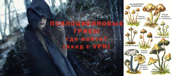 ГАЛЛЮЦИНОГЕННЫЕ ГРИБЫ Алексеевка