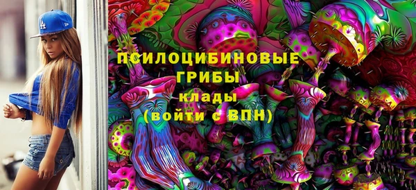 СК Абдулино