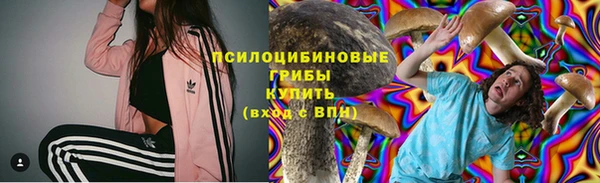 ГАЛЛЮЦИНОГЕННЫЕ ГРИБЫ Алзамай