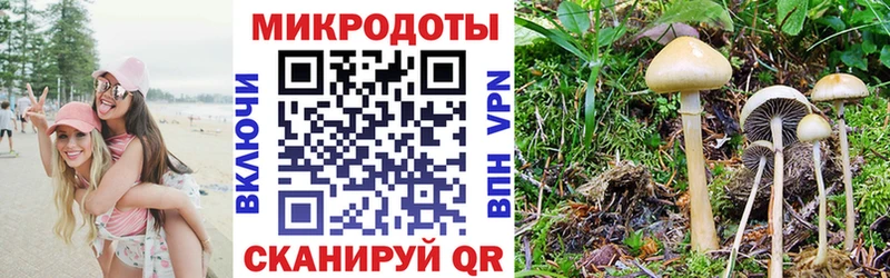omg как войти  Иваново  Галлюциногенные грибы ЛСД 