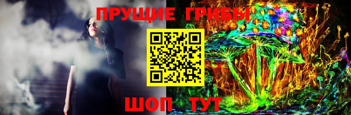Галлюциногенные грибы Cubensis Иваново